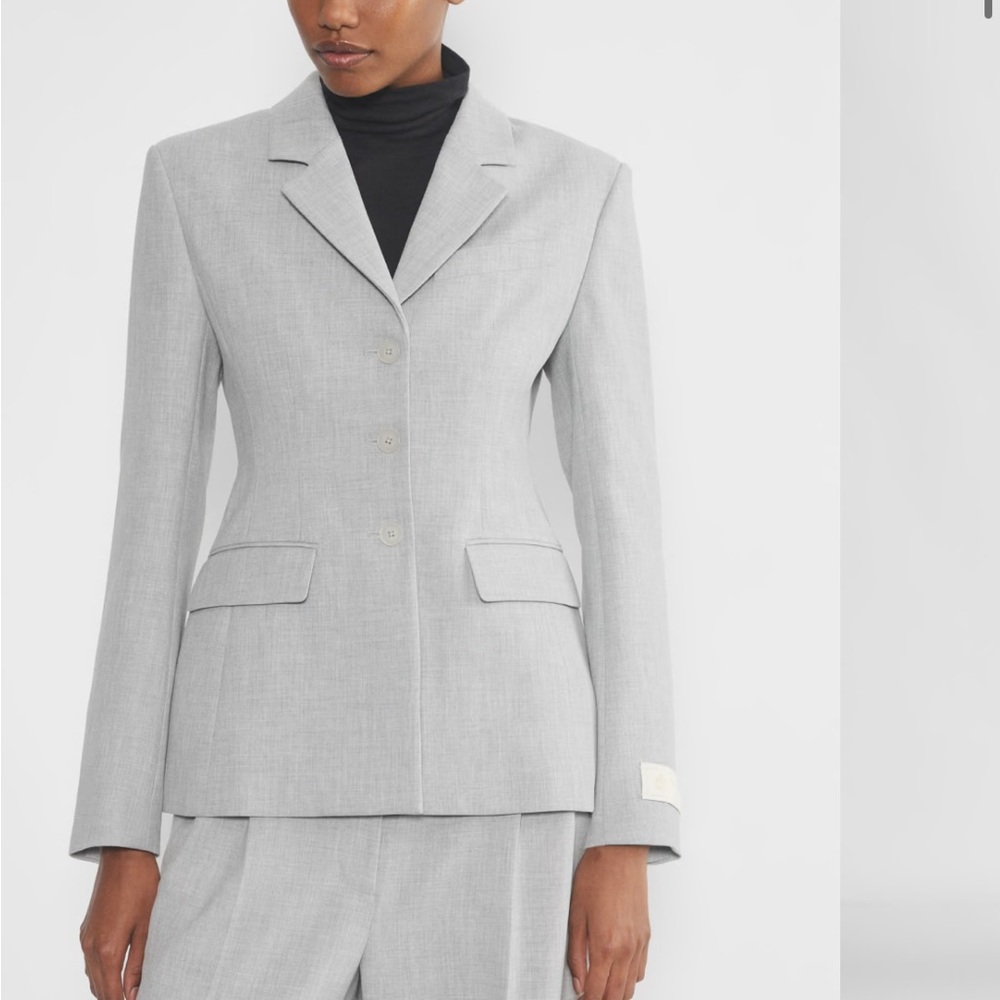 Aritzia Babaton Standout Blazer